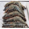 Sea Caught Tiger Prawns /Fresh Prawns/Wild Prawns!