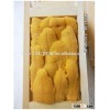 High quality sea urchin roe