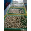 frozen high quality cooked shellfish clam meat without shell