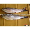 Fresh Fish Rohu