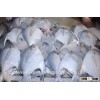 Fresh White Pomfret/Sea Food!