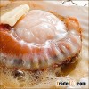 High quality and Delicious scallops , japanese seafood companies