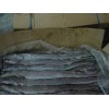 Eel Fish