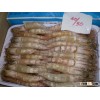 white shrimps
