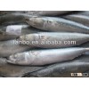 Frozen W/R Pacific Mackerel 100-200g