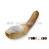 Geoduck