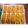 High Quality Red and Purple Sea Urchin Roe