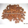 STAR ANISEED
