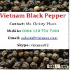 VietNam High Quality Black Pepper 500 g/l - 550g/l (Skype Visimex02)