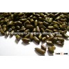 99% Machine Cleaned Cassia Tora Seeds