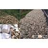 CASSAVA CHIP FOR CHINA - GOOD QUALITY - BEST PRICE