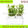 hydroponic nft