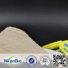 Native wheat starch flour