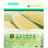 AGRI-05 China top supplier bacillus megaterium probiotics for agriculture planting
