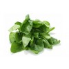 High Quality Spinach