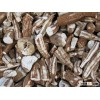 high quality VIETNAM CASSAVA CHIP