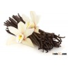 High Quality Dried Vanilla Beans- STOCK