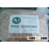 PINE SHAVINg FOR HORSE BEDDING