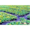 weed control mat