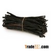 vanilla beans