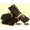 Bulk Vanilla Beans for sale.