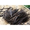 vanilla beans wholesale