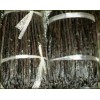 Vanilla Beans