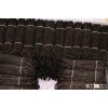 vanilla beans wholesale