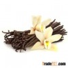 Vanilla Beans