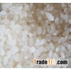 JAPONICA RICE