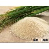 EXPORT GLUTANOUS RICE POWDER