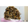 Chinese PARBOILD MILLET/CORN/BEAN