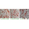 CAMOLINO RICE 5% BROKEN - SUPER QUALITY - sales5@vinarice.vn
