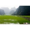 Long White Rice Grain 100%broken sales4 @ vinarice. vn