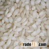 Arborio rice