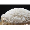 VIETNAM JASMINE WHITE RICE 5% BROKEN(Sales@phuongquan.com)