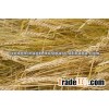 Baley Best Price