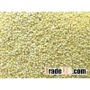 Malt Barley For Sale