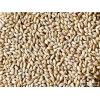 Hulled Barley
