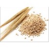 new stock Barley for Animal Feed ready for export