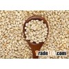Feed Barley
