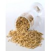 Malting Barley