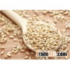 malt barley/beer materials