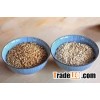 Wheat, Barley, Canary Seed forsale