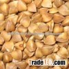 ROATED BUCKWHEAT/DRIED BUCKWHEAT/RAW BUCKWHEAT WITH HIGH QUALITY for sale