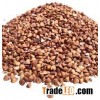 2016 Sweet Buckwheat for sale