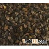 Black Buckwheat