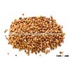 BUCKWHEAT KERNELS FOR ANIMAL FEED