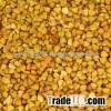Roasted Buckwheat
