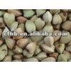 Hulled Buckwheat Kernel